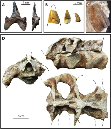 Fig. 4