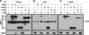 FIG. 7.