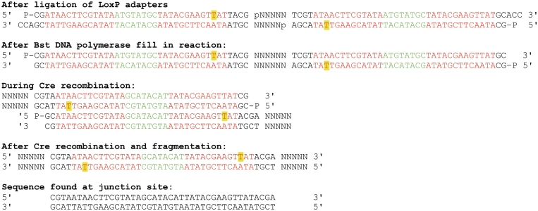 Figure 2.