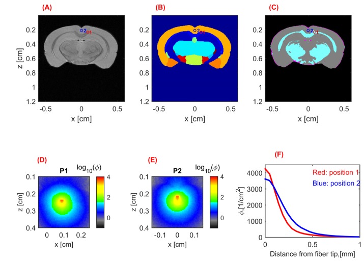 Fig. 3