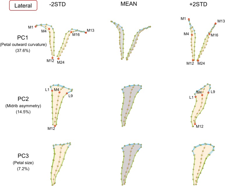 FIGURE 4