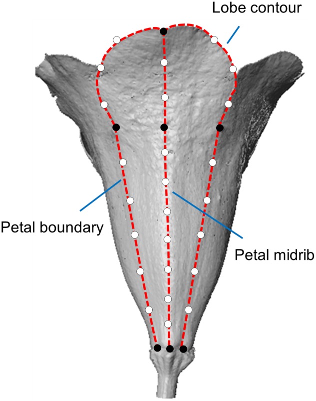 FIGURE 1