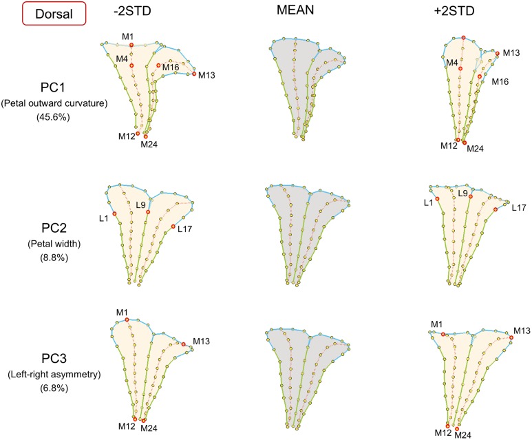 FIGURE 3