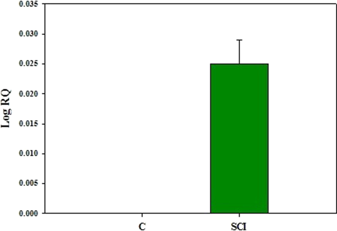 Fig. 8