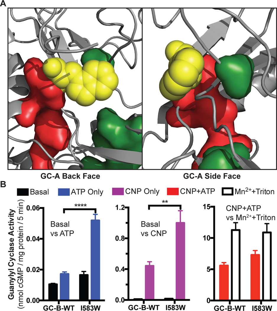 Fig. 10.