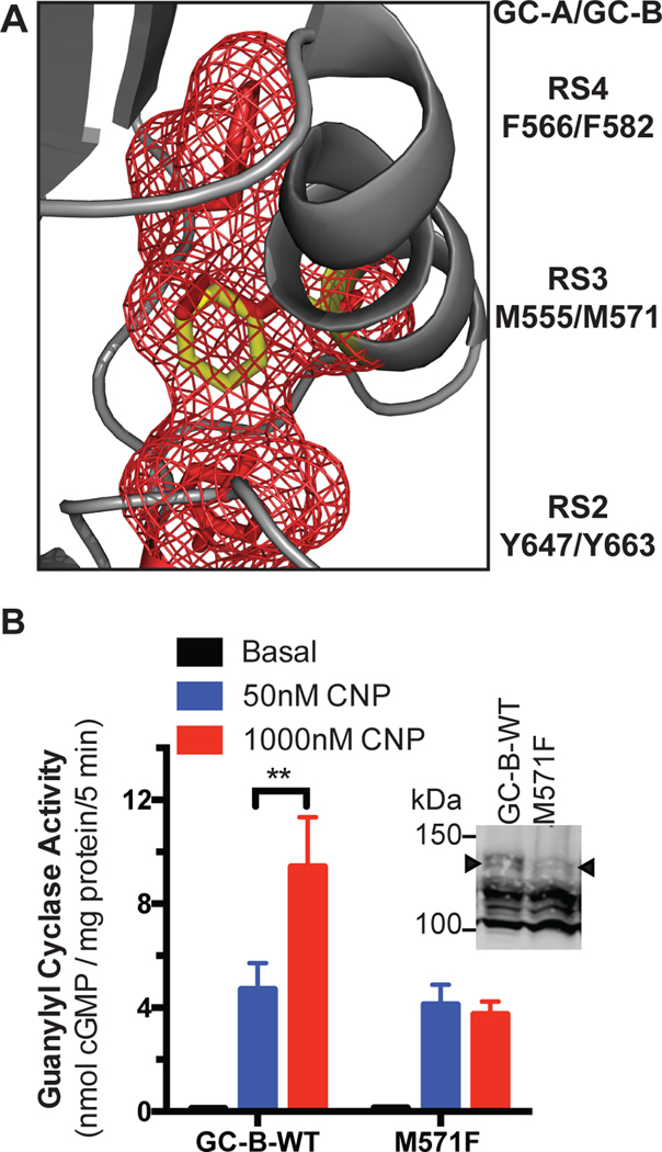 Fig. 9.