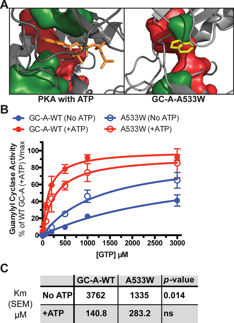 Fig. 8.