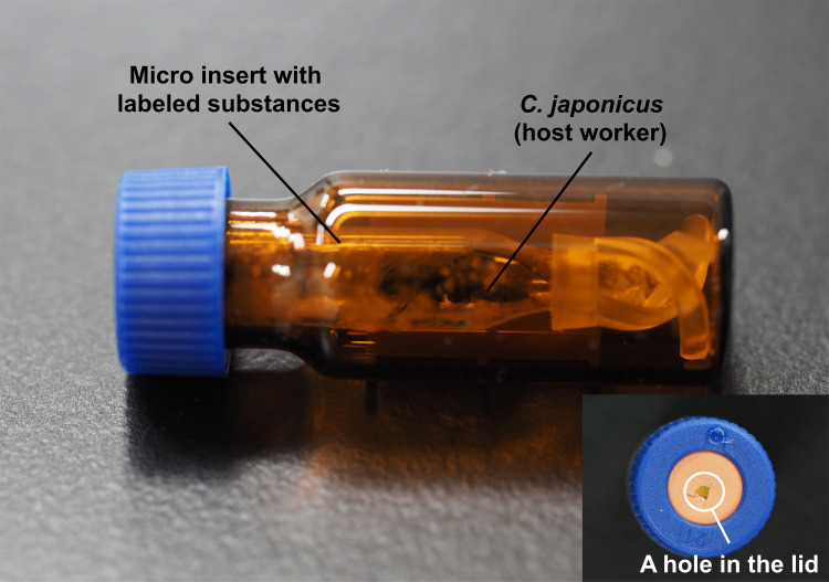 Figure 3.