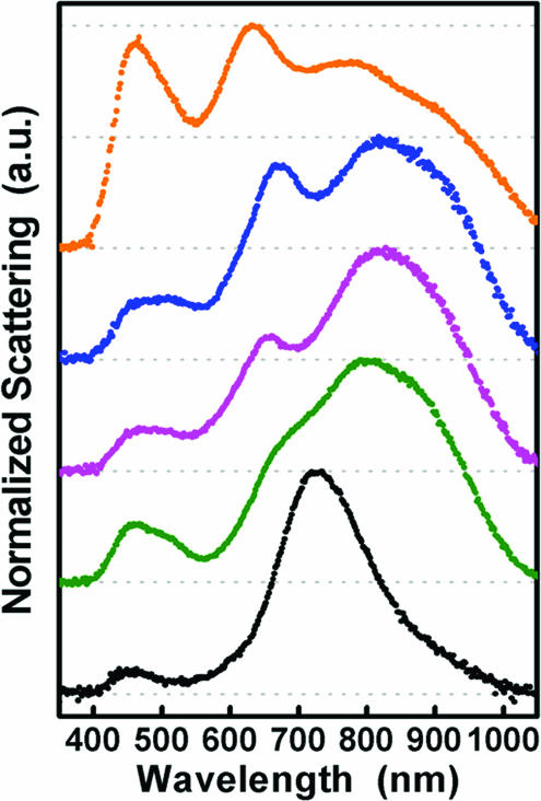 Fig. 3.