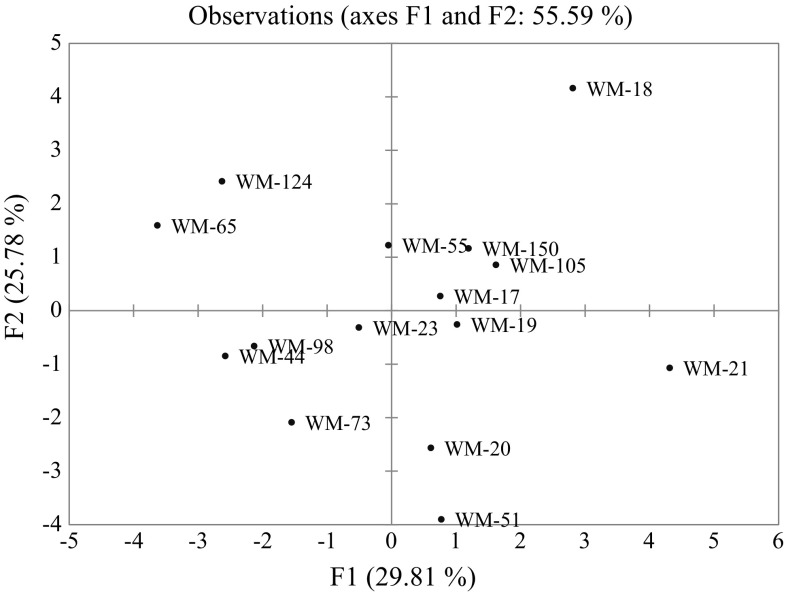 Fig. 1