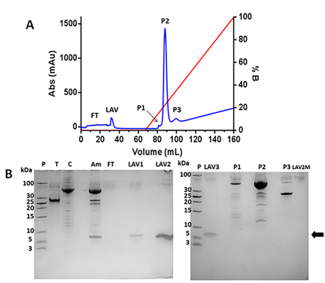 Figure 5.