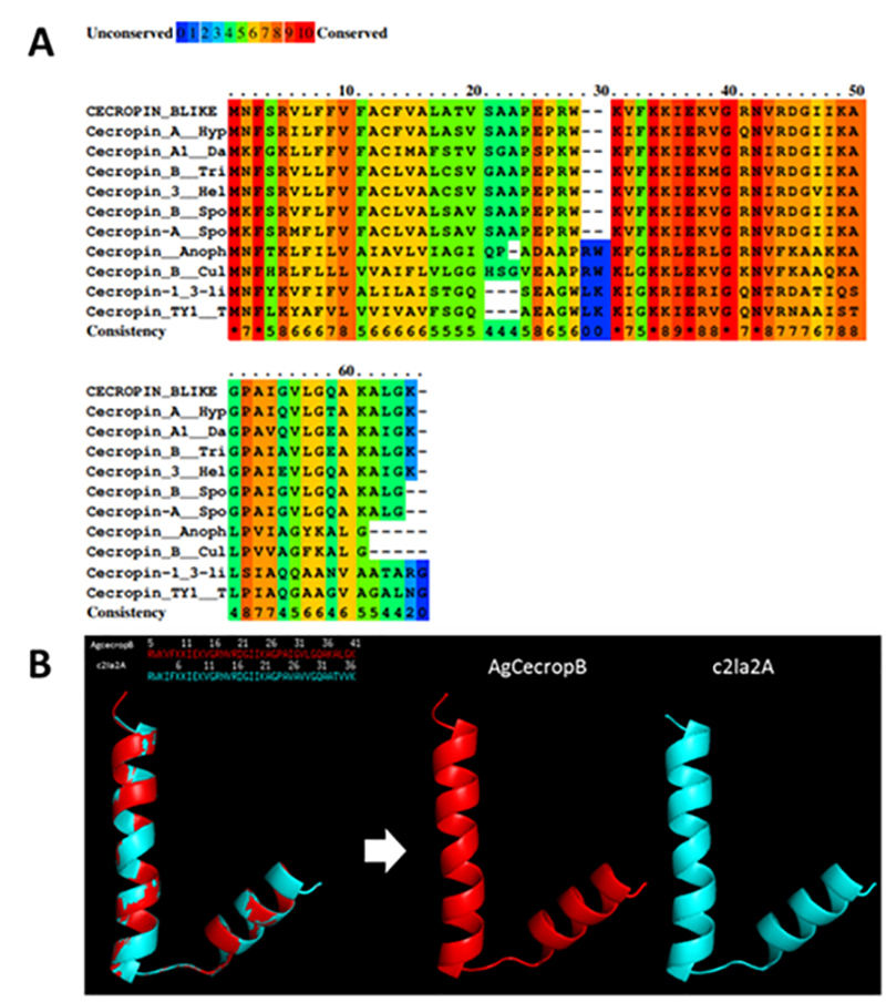 Figure 2.