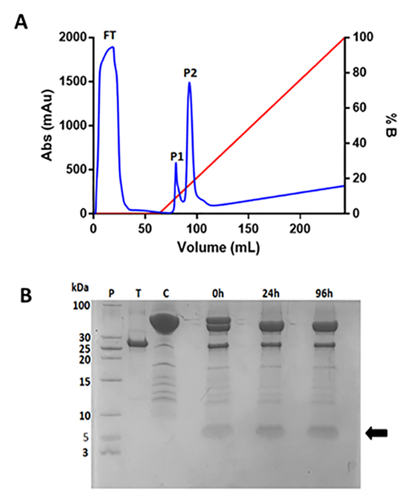 Figure 4.