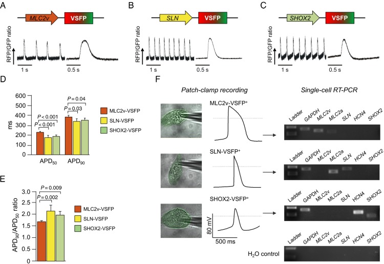 Figure 3