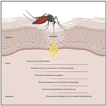 graphic file with name nihms-1800979-f0008.jpg