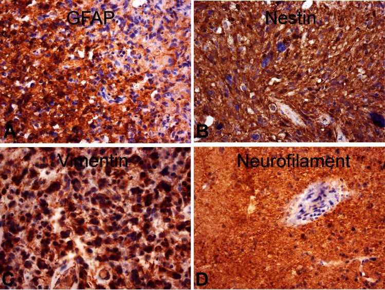 Fig. 2.