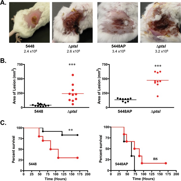 FIG 3