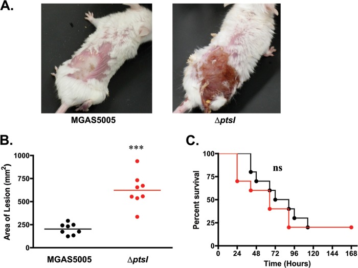 FIG 2