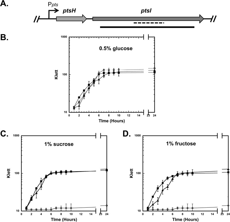 FIG 1