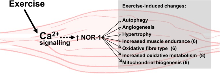 Figure 9.