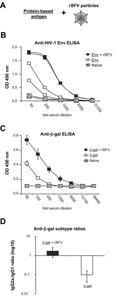 FIG. 1.