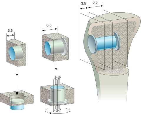 Fig. 2