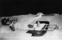 Fig. 2.