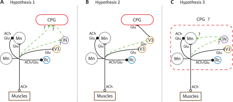 Figure 2