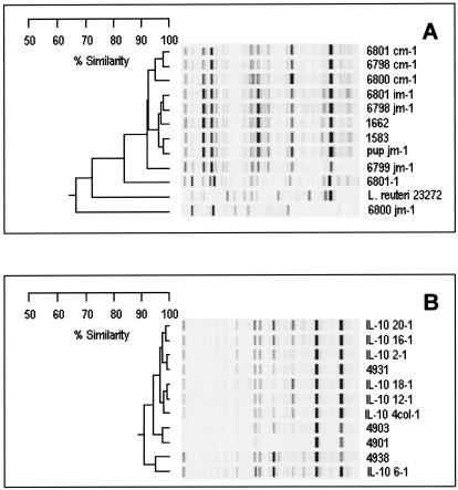 FIG. 5.