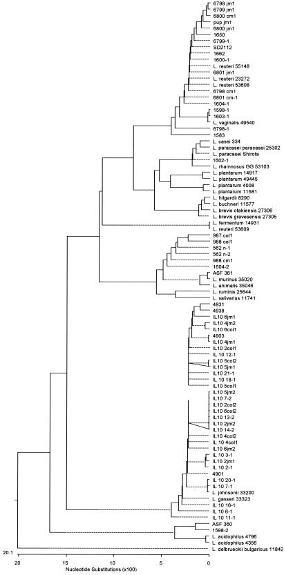 FIG. 3.