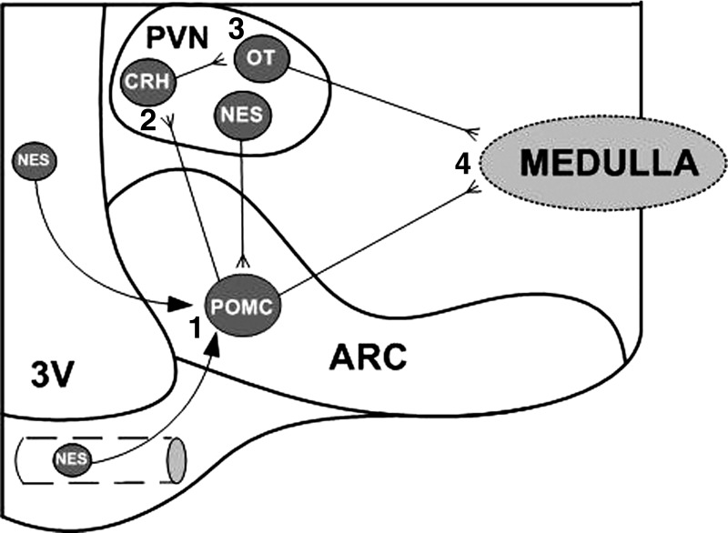 Fig. 6.