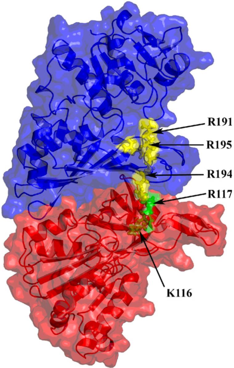 Fig. 5