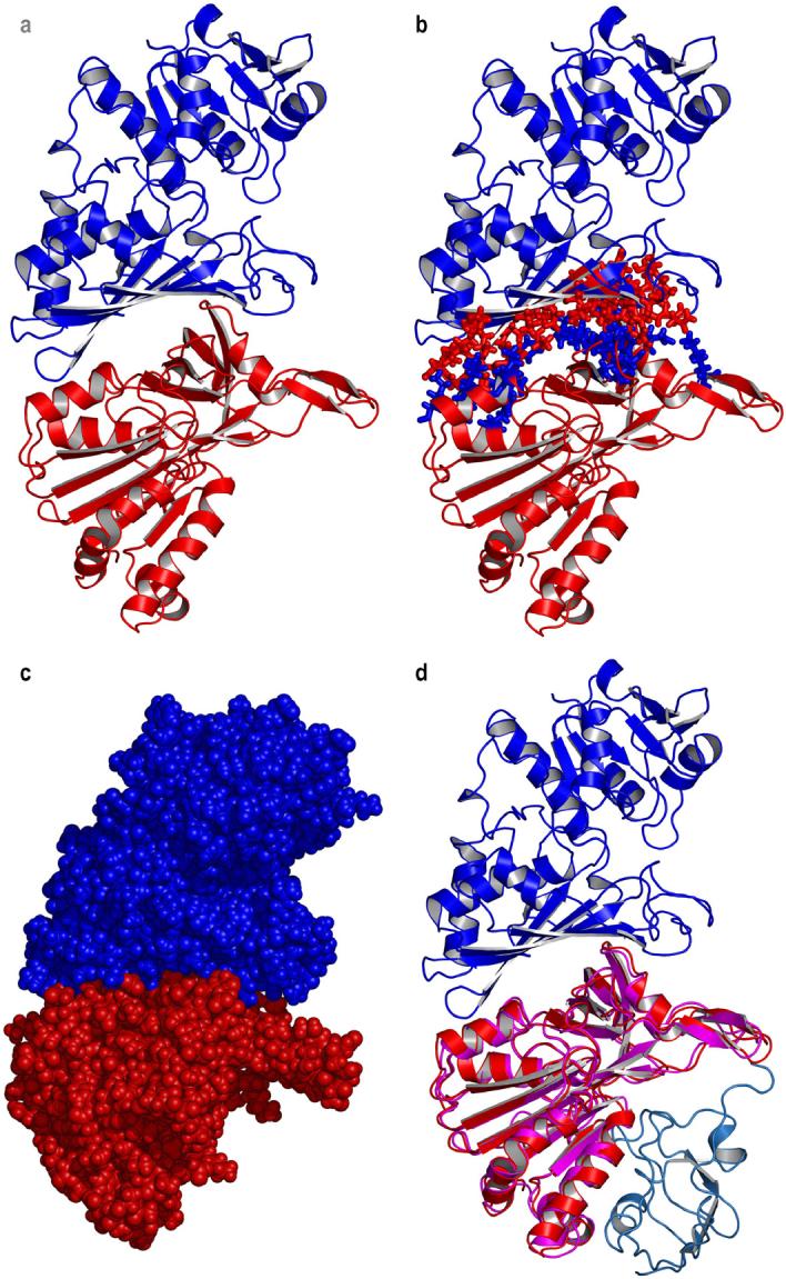 Fig. 4