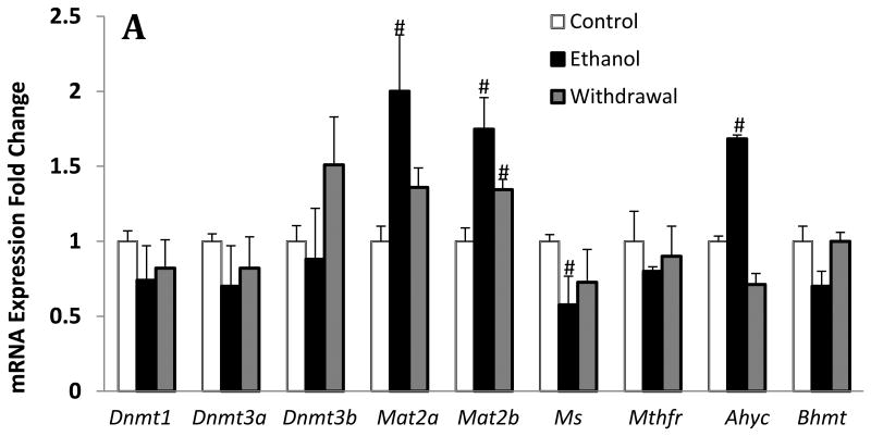 Fig.2