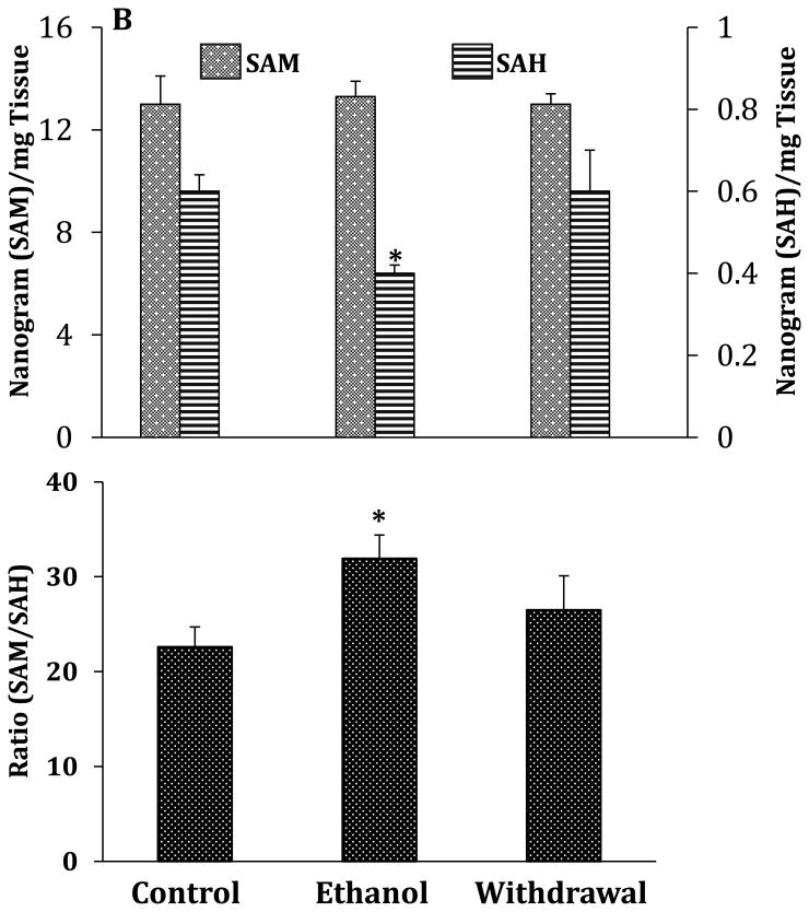 Fig.2