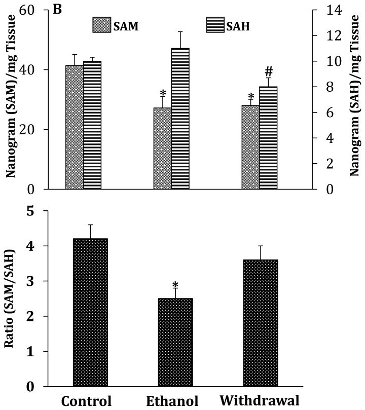 Fig.3