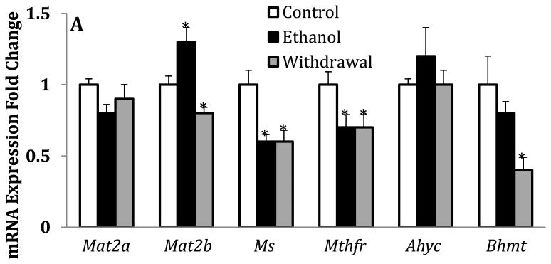 Fig.3