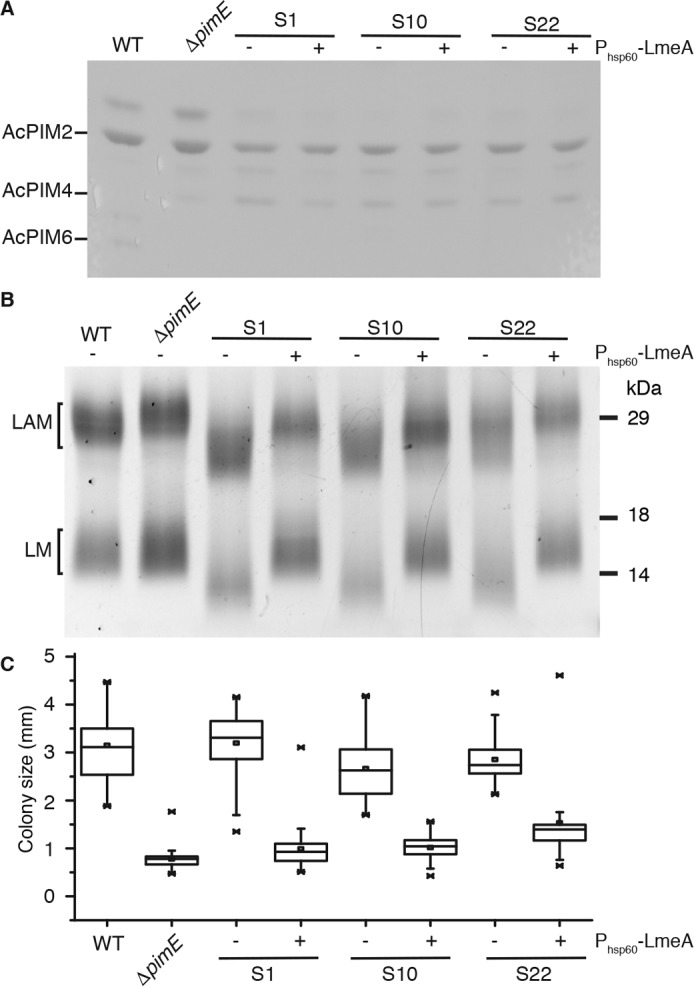 Figure 3.