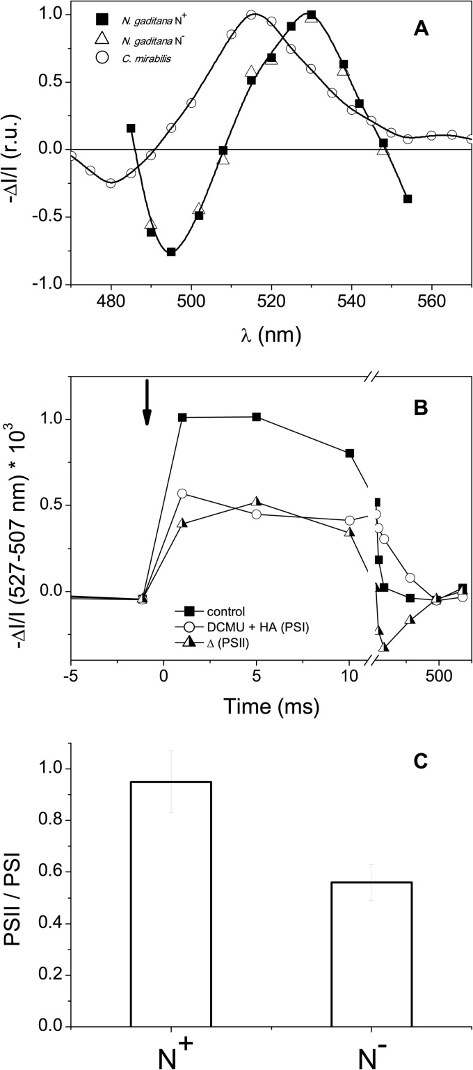 Fig 6