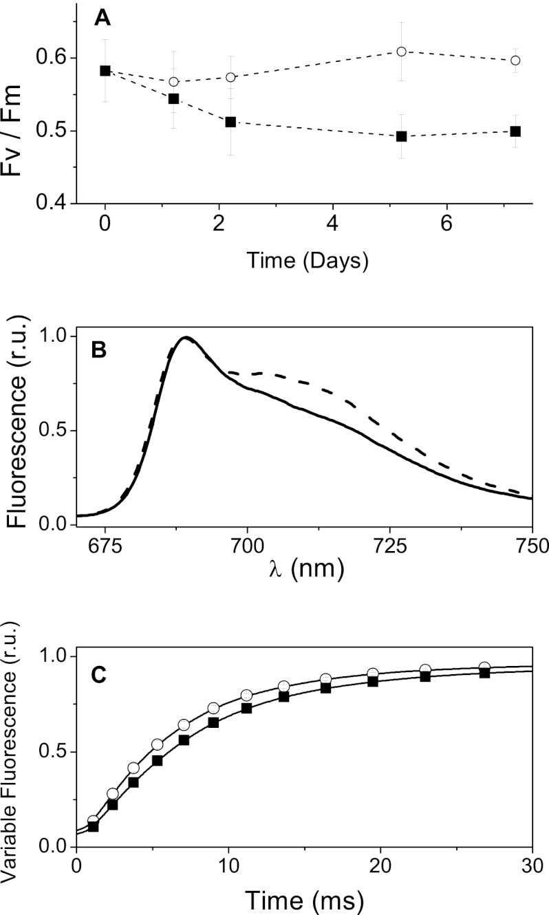 Fig 5