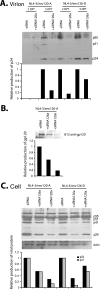 FIG. 8.