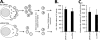 FIG. 9.