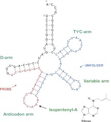 FIGURE 1.