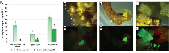 Figure 7