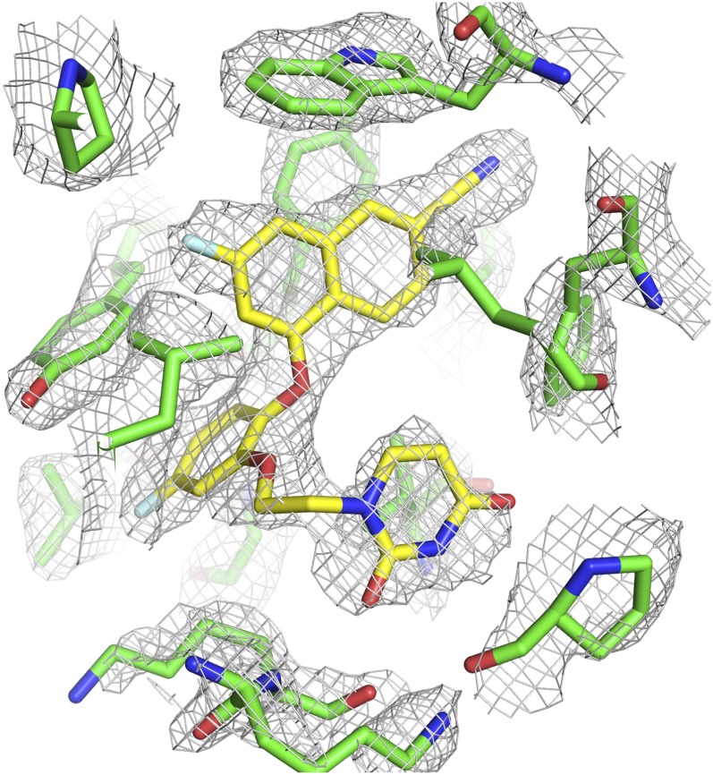 Fig. 2.