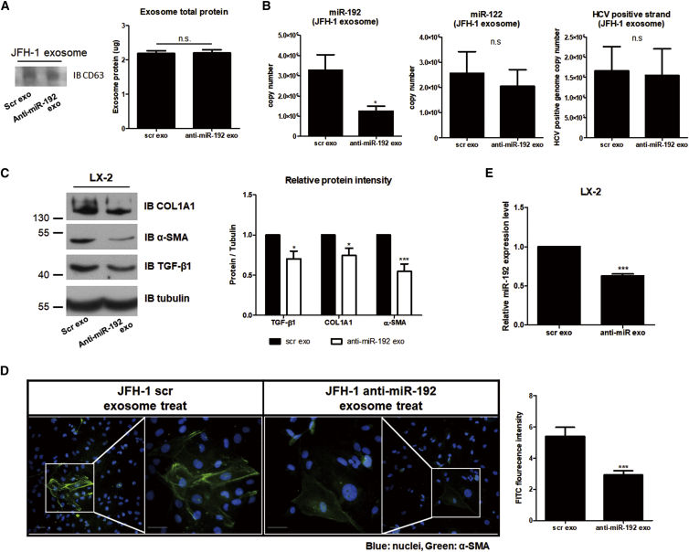 Figure 6