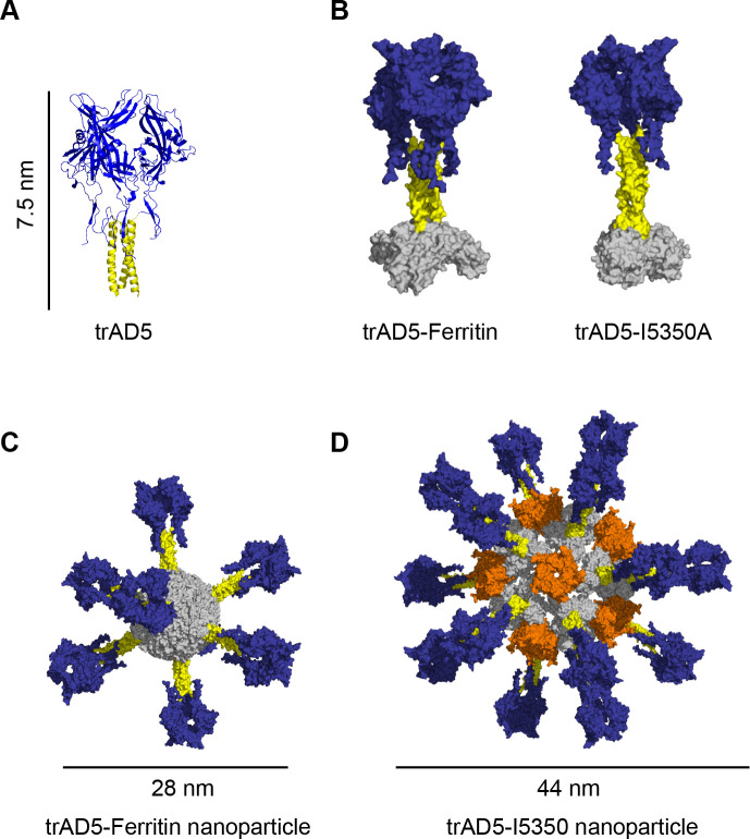 Fig 3