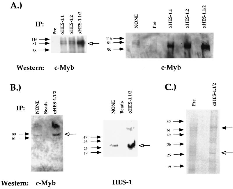 FIG. 7