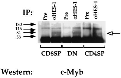 FIG. 8