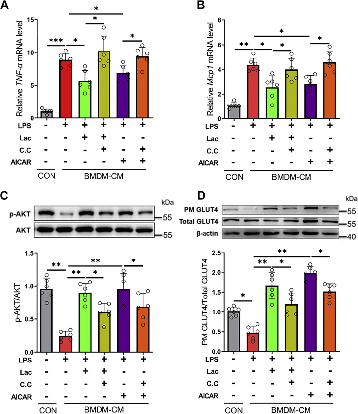 Figure 7